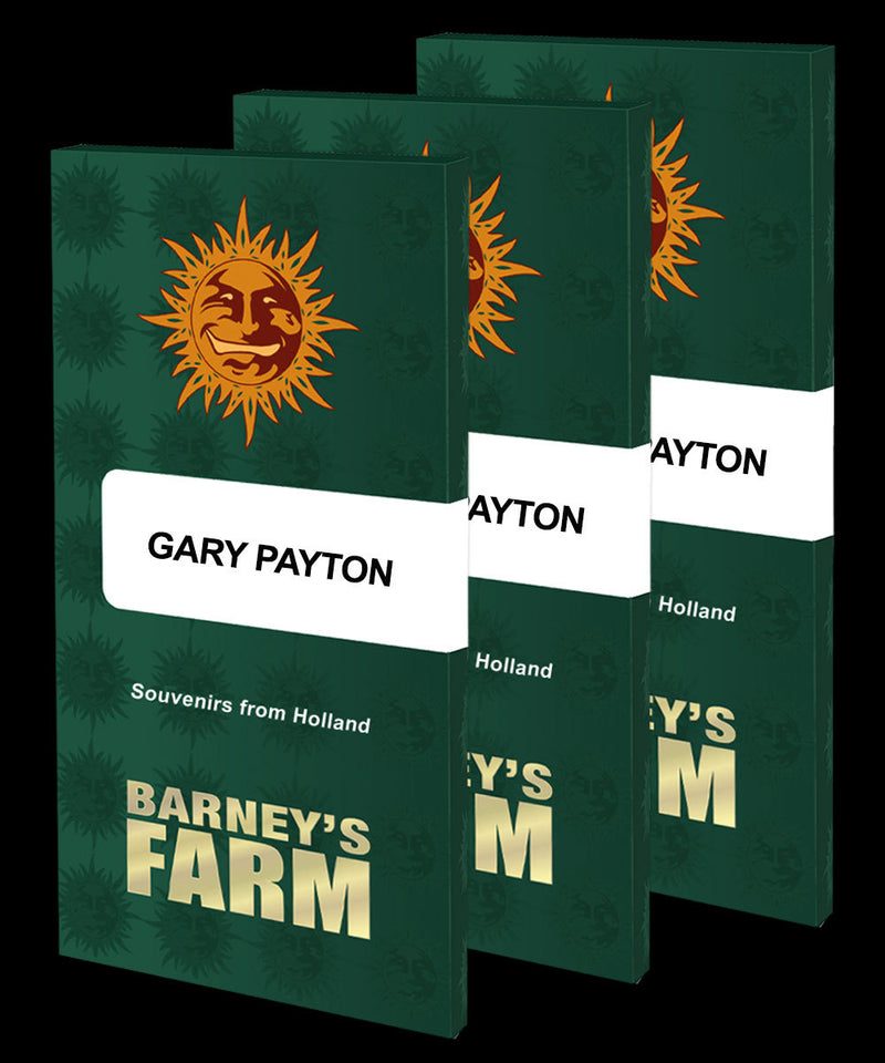 Gary Payton - Feminized