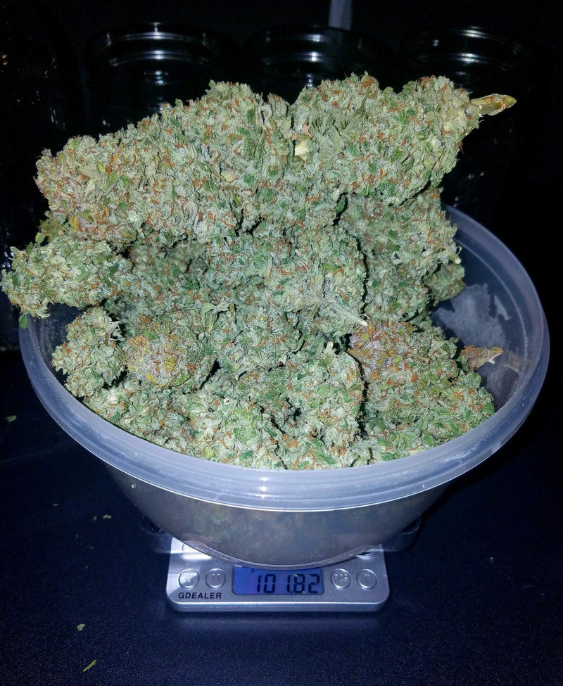 Stardawg - Automatic