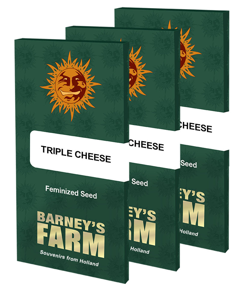 Triple Cheese - Feminized