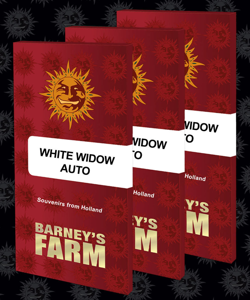 White Widow XXL - Automatic